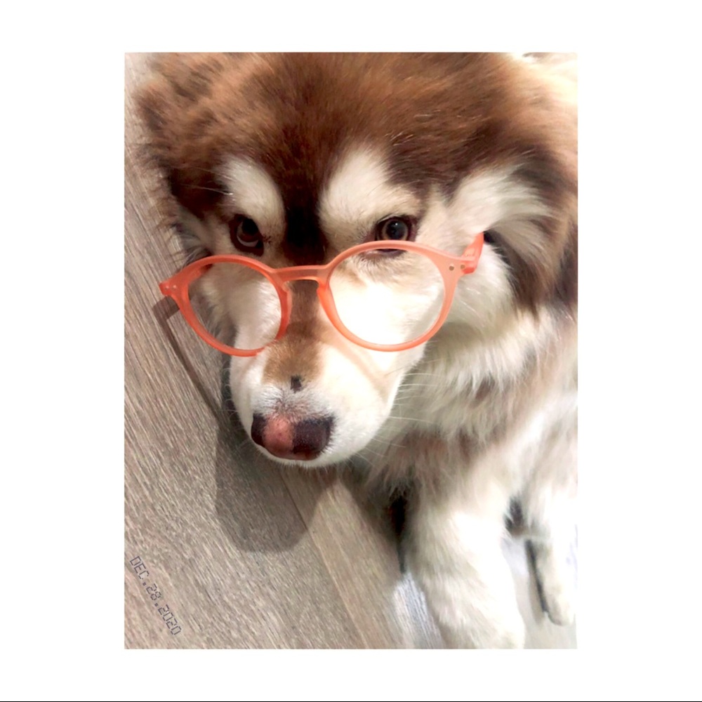 Meet your Posher, Posh